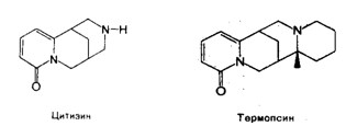 Цитизин, термопсин