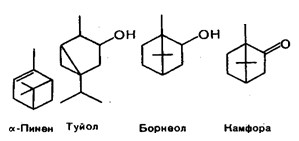 Терпеноиды Пинен, Туйол, Борнеол, Камфора