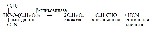 ферментирование амигдалина, образование синильной кислоты