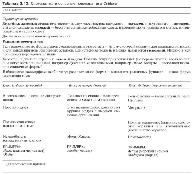 Систематика и основные признаки типа книдария Cnidaria