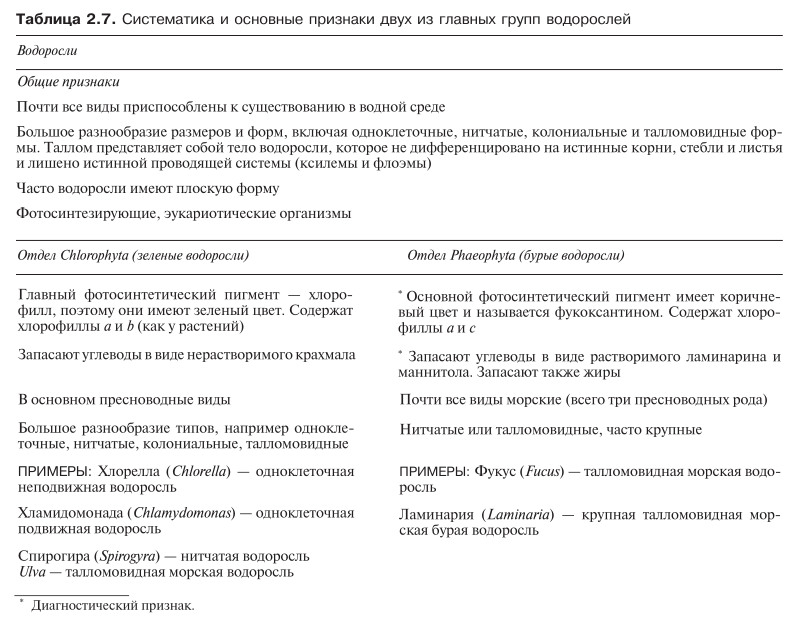 зеленые и бурые водоросли сравнение