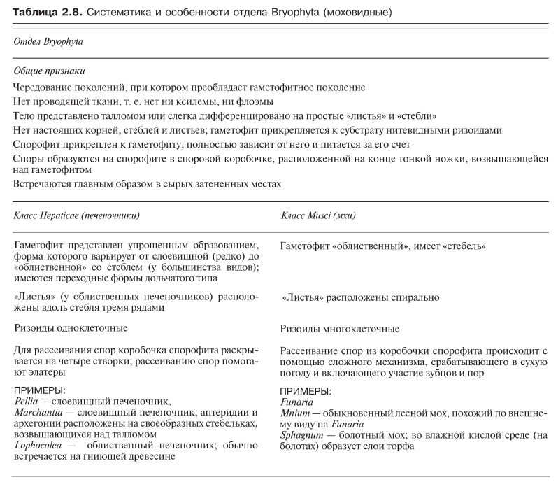 Систематика и особенности отдела Bryophyta (моховидные)