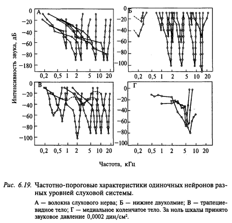 частотно-пороговые характеристики одиночных нейронов