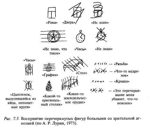 восприятие перечеркнутых фигур больными со зрительной агнозией