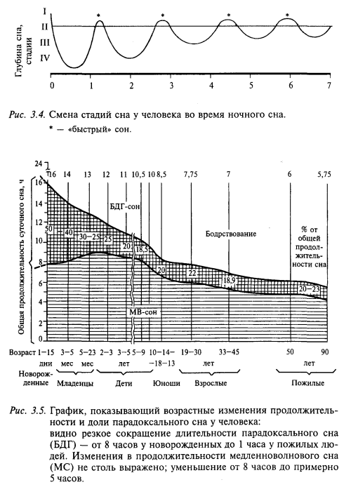 смена стади сна у чевловека. Возрастные изменения сна у человека