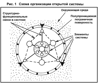 схема организации открытой системы