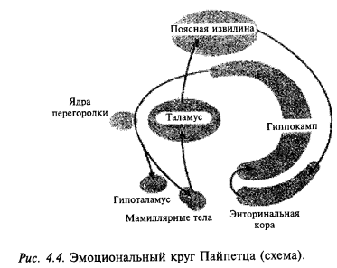 эмоциональный круг Пайпетца