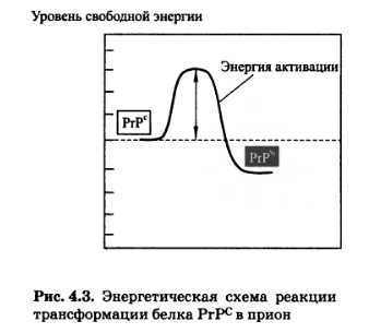 Энергетическая схема реакции трансформации белка РгРС в прион