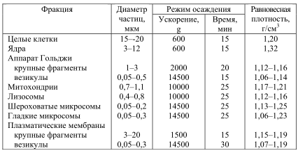 Клеточные компоненты печени крыс