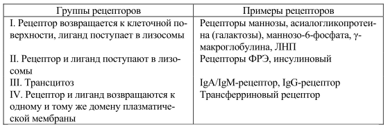 Некоторые рецепторы, интернализуемые при эндоцитозе