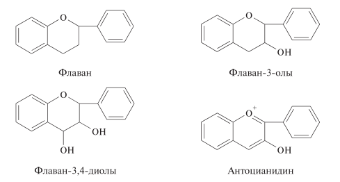 флаван, антоцианидин