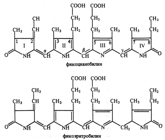 Структурные формулы фикобилинов