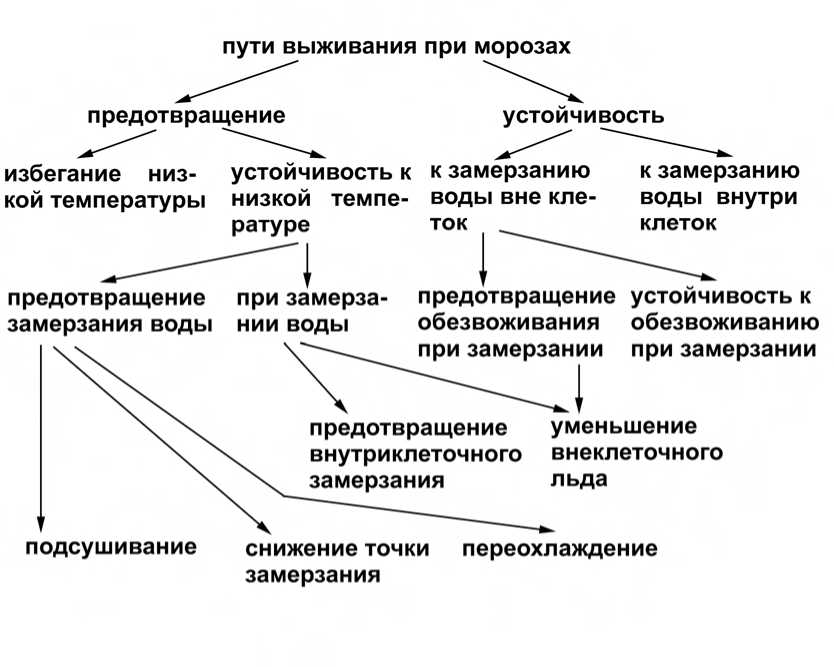 Возможные пути выживания и устойчивости растений при морозах