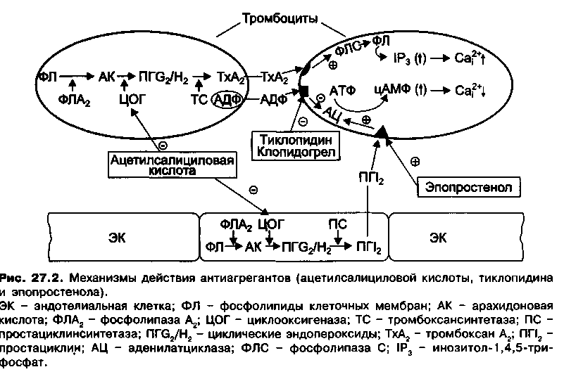 механизм действия антиагрегантов