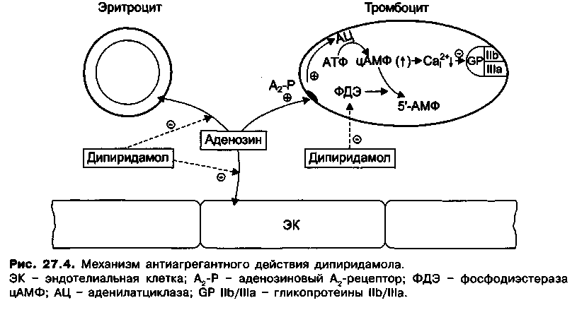 механизм антиагрегантного действия дипиридамола