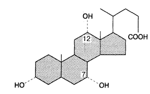Структура желчной кислоты.