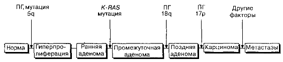 Схема последовательных генетических изменений в многоступенчатом канцерогенезе при раке толстой кишки с дополнениями по Fearon, Vogelstcin.