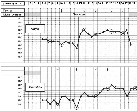 МАТОЧНЫЙ ЦИКЛ Базальная (ректальная) температура