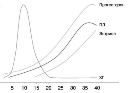 Содержание гормонов в крови в различные сроки беременности