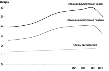 Изменение ОЦК при беременности