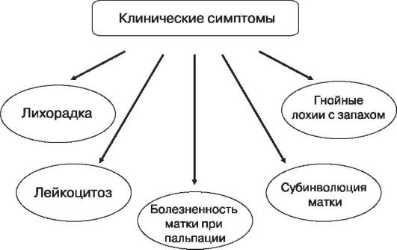 Послеродовый эндометрит клинические симптомы