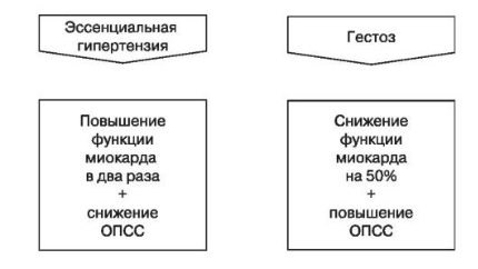 Дифференциальная диагностика эссенциальной гипертензии и гестоза