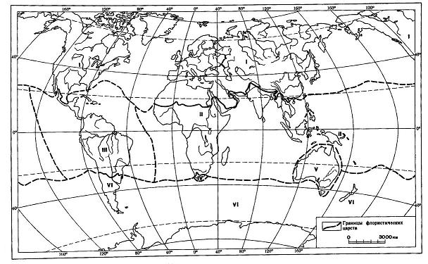 Флористические царства Земли: I – Голарктическое; II – Палеотропическое; III – Неотропическое; IV – Капское; V – Австралийское; VI - Голанктарктическое.