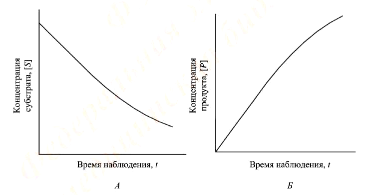 Типичные кинетические кривые ферментативной реакции: