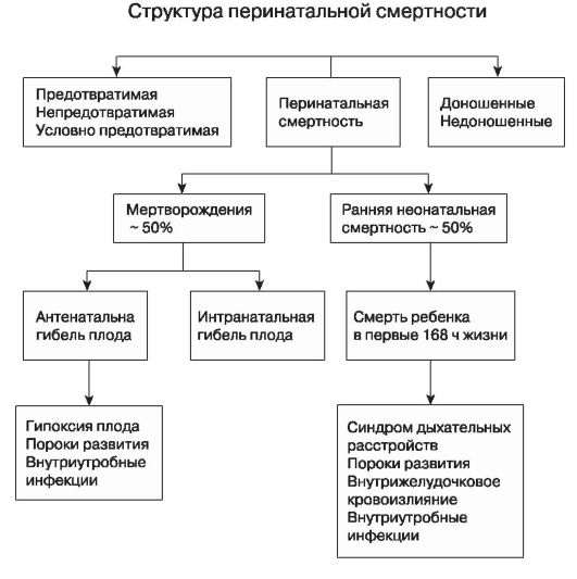 структура перинатальной смертности