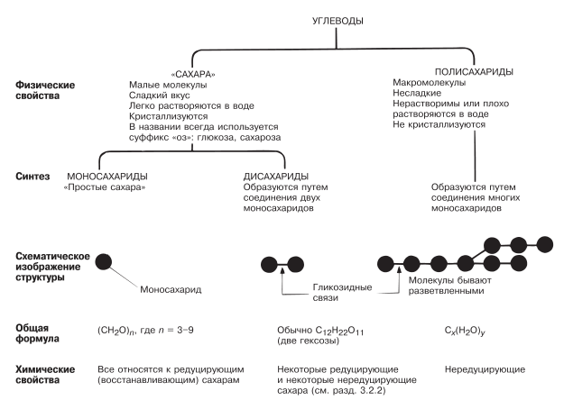 Классификация углеводов.