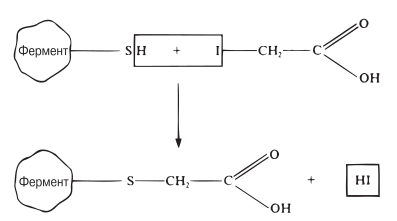 Необратимое ингибирование фермента иодуксусной кислотой. Иод вступает в реакцию с сульфгидрильными группами фермента.