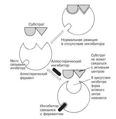 Аллостерическое ингибирование.