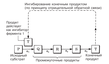 Ингибирование конечным продуктом