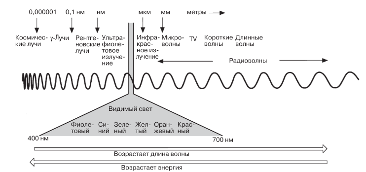 Электромагнитный спектр. Видимый свет составляет лишь небольшую его часть. (Длины волн даны не в масштабе.)