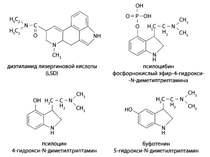 К галлюциногенам относят диэтиламид лизергиновой кислоты