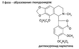 Образование глюкуронидов