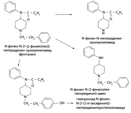 Частично может происходить гидроксилирование фенильного, пиперидинового или пропионильного радикалов