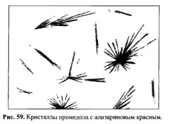 Микрокристаллоскопическая реакция на промедол