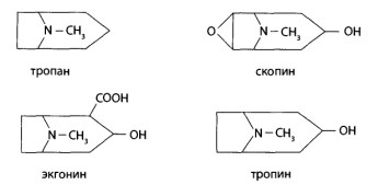 Природные алкалоиды подразделяют на производные спиртов тропина
