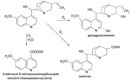 Пути метаболизма хинина