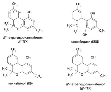 Основными каннабиноидами являются 5 соединений
